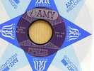 Stan Robinson soul 45 Rhinoceros bw Can She Give You Fever on Amy