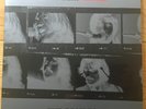 The Beatles Let It Be ... Naked Vinyl Lp G/f + 7” Single Booklet Rare - Mint