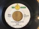 Aura If You Could Take Me There Mind Eclipse Psych Prog Private Press 45