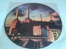 Pink Floyd, Animals Picture Disc Vinyl. Limited Edition Issue 1977, Holland only