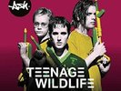 ASH TEENAGE WILDLIFE: 25 YEARS OF ASH NEW SEALED VINYL 2LP IN STOCK