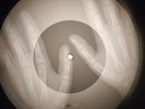 Johnny Preston - Running Bear X-RAY OF THE USSR X-RAY BONE RECORDING