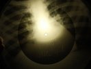 Doors - You're Lost Little Girl X-RAY OF USSR X-RAY BONE RECORD