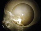 Elvis Presley - Little Egypt X-RAY OF USSR X-RAY BONE RECORDING