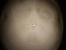 Doors - L'America X-RAY OF THE USSR X-RAY BONE RECORDING
