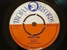 (TOOTS) MAYTALS Monkey Man Night And Day TROJAN RECORDS Skinhead Reggae