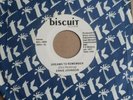 ERNIE JOHNSON DREAMS TO REMEMBER/DISCO MUSIC 45-RARE