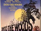 Into The Woods Original Cast Musical Recording Vinyl LP Record Album SONDHEIM