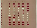 RAZORMAID Z-23 Double Vinyl LP 12