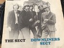 Downliners Sect - The Sect 12” Vinyl