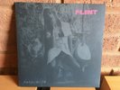 Flint   Asteroids  Vinyl 10