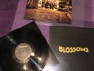 Blossoms Signed Vinyl First Album