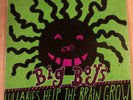 BIG BOYS-LULLABIES HELP THE BRAIN GROW-1st press, 1983, Moment Recs, Texas PUNK