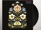 Dungen