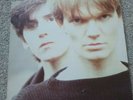The House Of Love - 