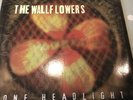 THE WALLFLOWERS One Headlight 7” Black Vinyl Picture Sleeve MINT Bob Dylan