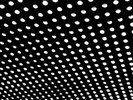 Bloom, Beach House, New