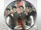 The Beatles in Beginning Limited Edition Picture Disc Vinyl LP New Rare & HTF