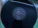 wermacht shark attack record