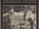 SOUND OF THE DELTA: Testament ’66 Rural Blues LP Fred McDowell
