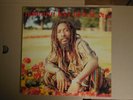 Ijahman - inside out - JMI 1100 - LP von 1989 - sehr gut