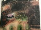 Pink Floyd-A Saucerful Of Secrets-Tower 5131-STEREO USA 1968 ORANGE LABEL RARE