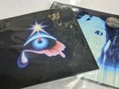 The Avalanches - We Will Always Love You - Picture Disk LP Record Vinyl - SIGNED