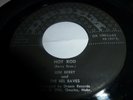 Lou Red Berry & Bel Raves Hot Rod Dream 1001 killer rockabilly   7
