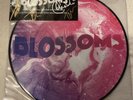 Blossoms Live Signed Vinyl Picture Disc 10”