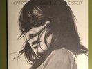 CAT POWER -  Dark End Of The Street -  2008 - 2x10