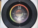 The Beatles Please Please Me b/w From Me to You Vee-Jay 45 RPM NM 1963