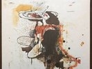 Peter Doherty Grace Wastelands Vinyl Rare Libertines Clash Punk Indie Oasis