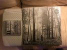 Taylor Swift folklore “In the Trees” Edition Deluxe Vinyl And signed CD sealed
