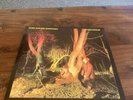 echo and the bunnymen crocodiles Original LP Vinyl