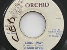 JUNIOR BYLES LEE PERRY Long Way ORCHID 45 Roots Reggae Dub