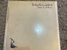 Babyshambles - Down in Albion [VINYL]