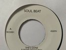 THE HAMILTON MOVEMENT. SHE’S GONE/CONNIE LAVERNE. CAN’T LIVE WITHOUT YOU