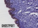 Ghostpoet - Shedding Skin Vinyl LP