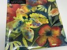 Adrianne Lenker - Songs And Instrumentals [New Vinyl LP]