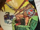He-Man Masters Of The Universe 1983 Mattel 12” Picture Disc Vinyl Record Album