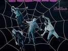 ORIGINAL 1966 THE SEEDS Album WEB OF SOUND Record GNP 2033 Lp VINYL is EXCELLENT