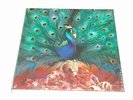 OPETH  -  Sorceress   /   BOX-SET - 2CD-Digi , 2LP - Rosewood Vinyl....  /   OVP