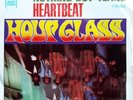 RARE PICTURE JACKET HOUR GLASS ALLMAN BROTHERS 45 RECORD WITH  DUANE AND GREGG
