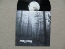 The Cure A Forest UK Fiction 12