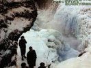 ECHO AND THE BUNNYMEN-Porcupine