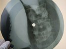 ROLLING STONES LET'S SPEND NIGHT X-Ray USSR Record Roentgen Bones Music Vinyl