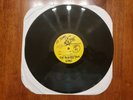 SUBLIME STAND BY YOUR VAN LP PICTURE DISC TEST PRESS BRADLEY NOWELL
