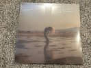 Phoebe Bridgers Copycat Killer LP/Vinyl