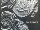 THE SUNDAYS READING WRITING AND ARITHMETIC LP French 1990 NMint
