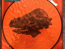 Alice In Chains The Devil Put Dinosaurs Here EU Picture Disc Vinyl LP